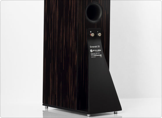 Pylon Audio Emerald 25 - cecha 2